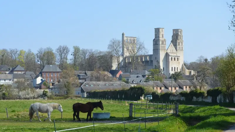 de_yainville_à_jumièges-sma-mathilde_harel-800x600 (2)
