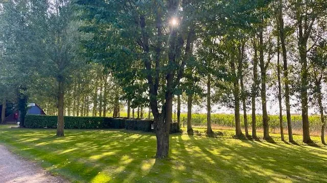 Camping La Berquerie - Le Mesnil-Réaume