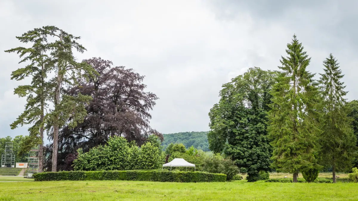 essences-abbaye-du-valasse-aurelien-leloup