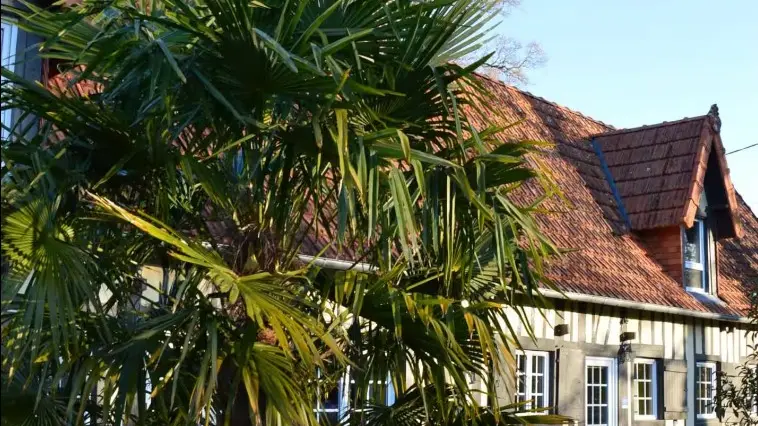 EXTERIEUR
