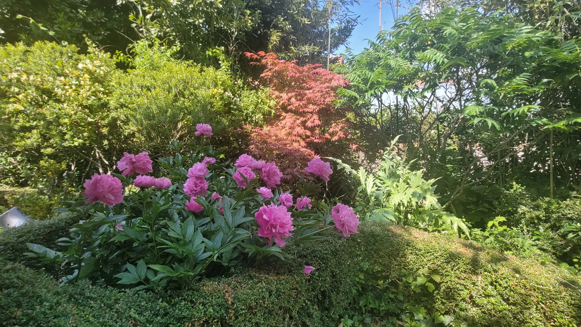 fleurs