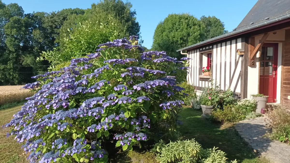 gite-la-maisonnette-meuble-auberville-lacampagne-pj2s-4
