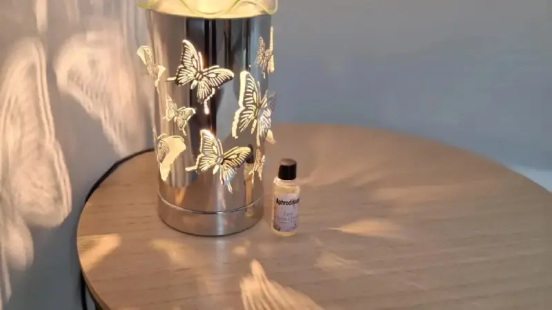 gite-ressources-la-frenaye-meuble-13