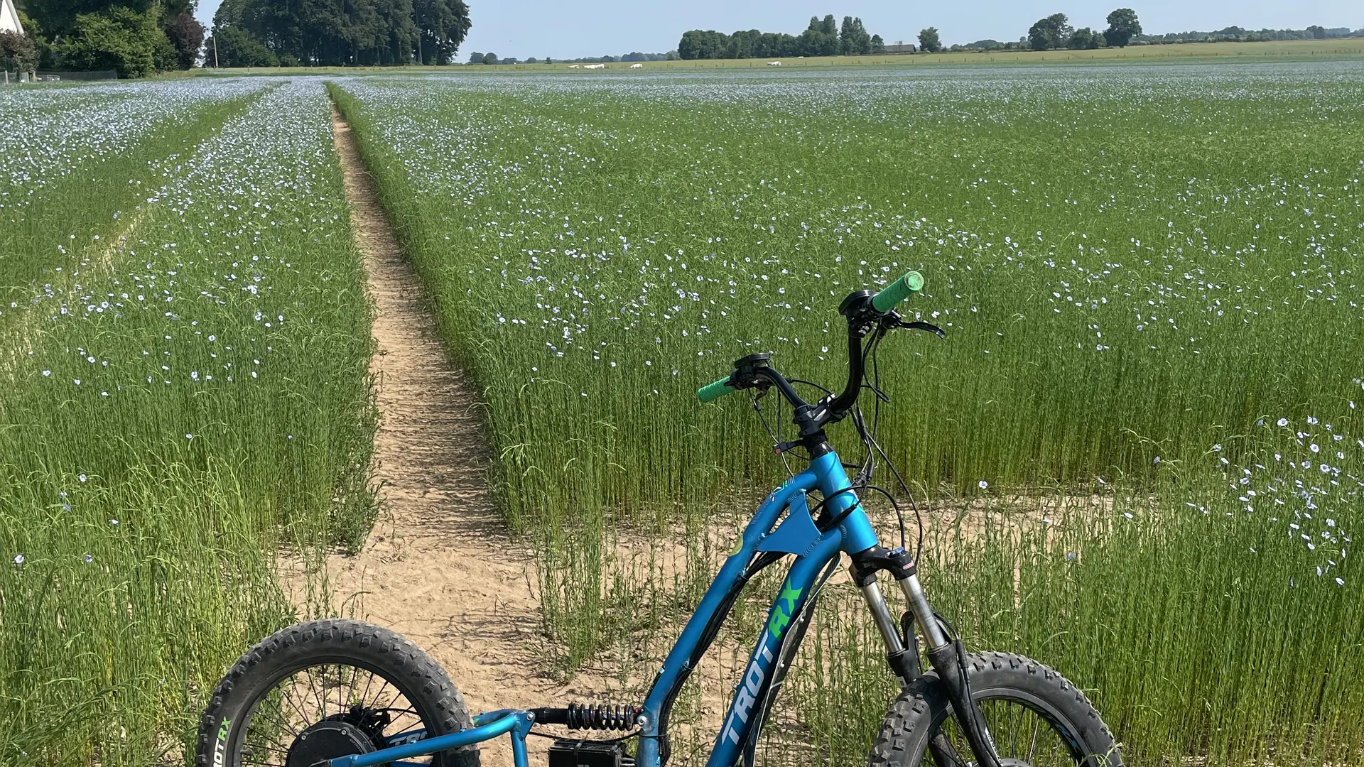 Les Randos de Pierrot