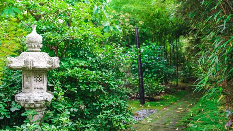 Jardin de Valérianes - Buchy - 2020