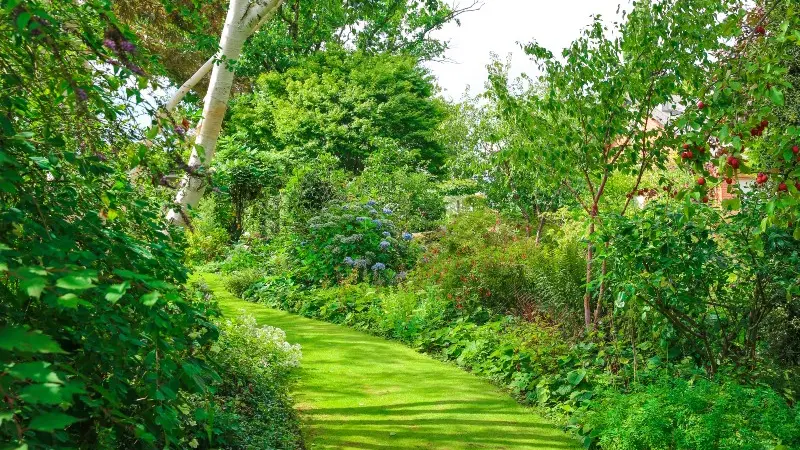 Jardin de Valérianes - Buchy - 2020