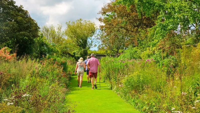 Jardin de Valérianes - Buchy - 2020