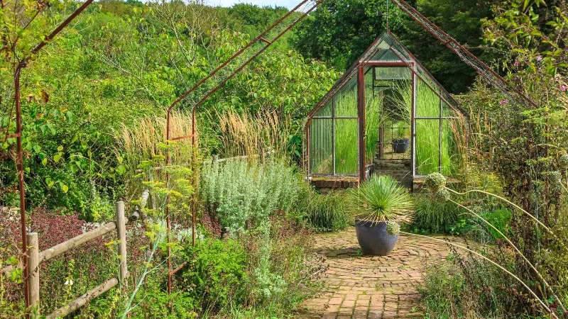 Jardin de Valérianes - Buchy - 2020
