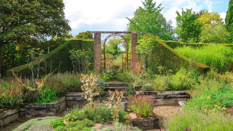 Jardin de Valérianes - Buchy - 2020