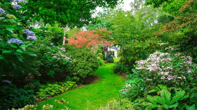 Jardin Les Hêtres - Offranville