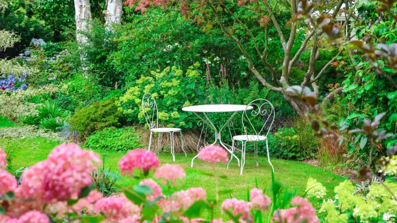 Jardin Les Hêtres - Offranville