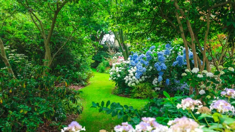 Jardin Les Hêtres - Offranville