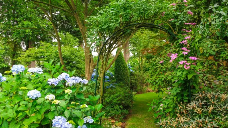Jardin Les Hêtres - Offranville