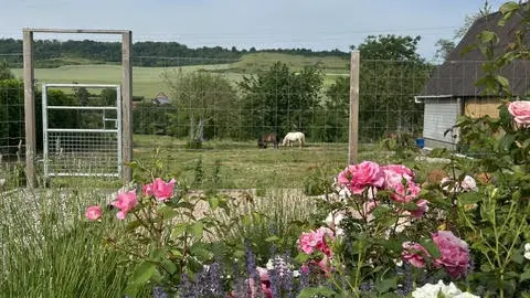 jardin vue sur herbage