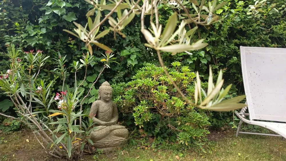 Jardin chambre zen