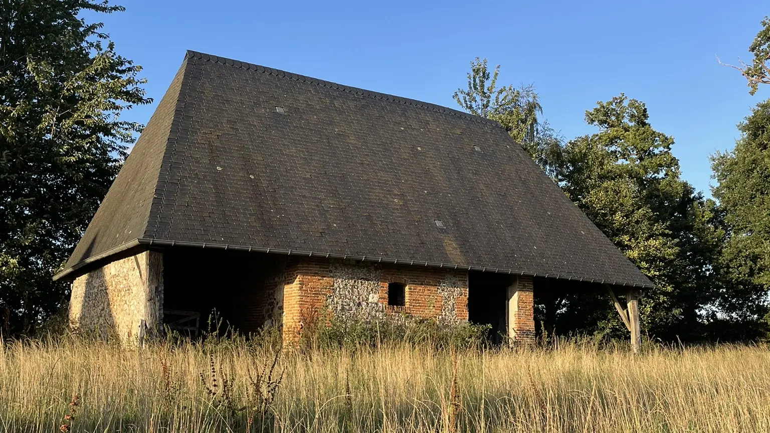 Le jardin de rose - jardin1