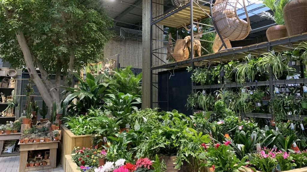 jardinerie