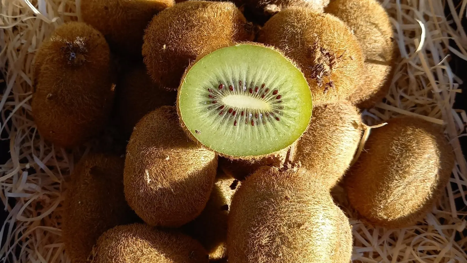 kiwis