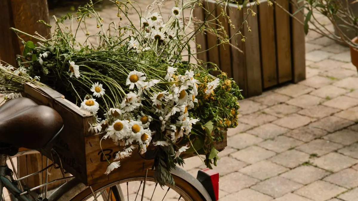 la-maison-plume-chambre-d-hotes-villequier-NolwennPernin (1)