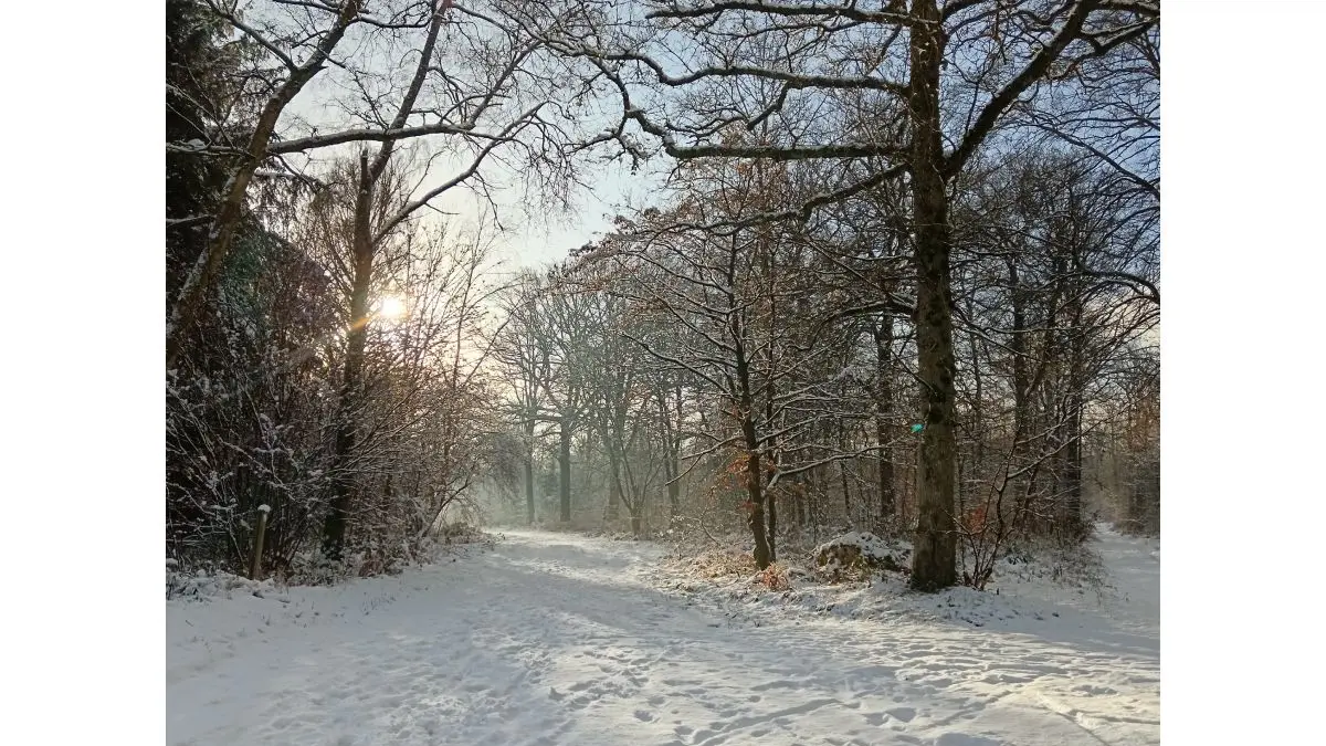 lancienne-forge-louvetot-nathalie-thierry-chambre-d-hote (1)