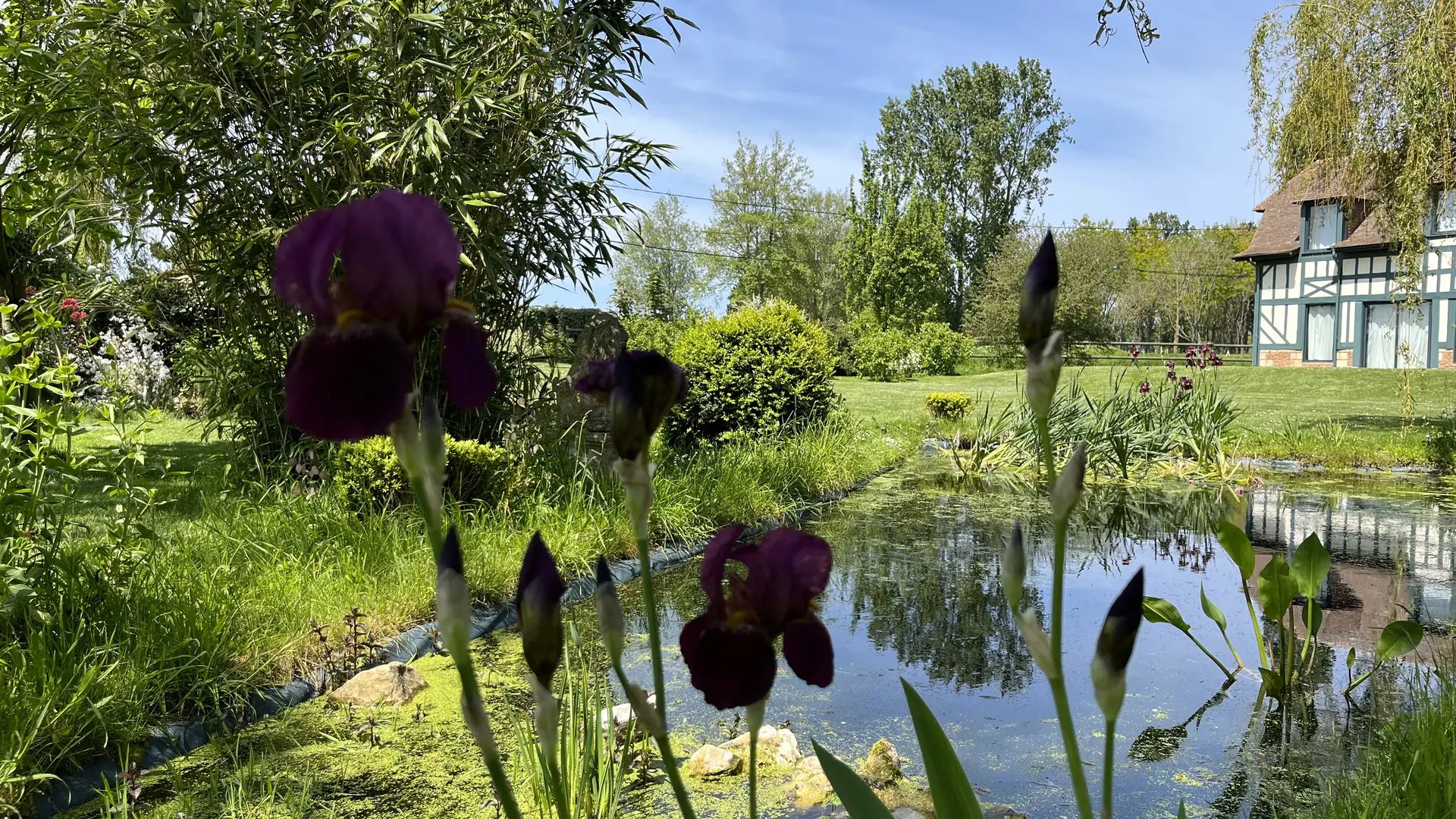 le-coin-des-aromates-mare