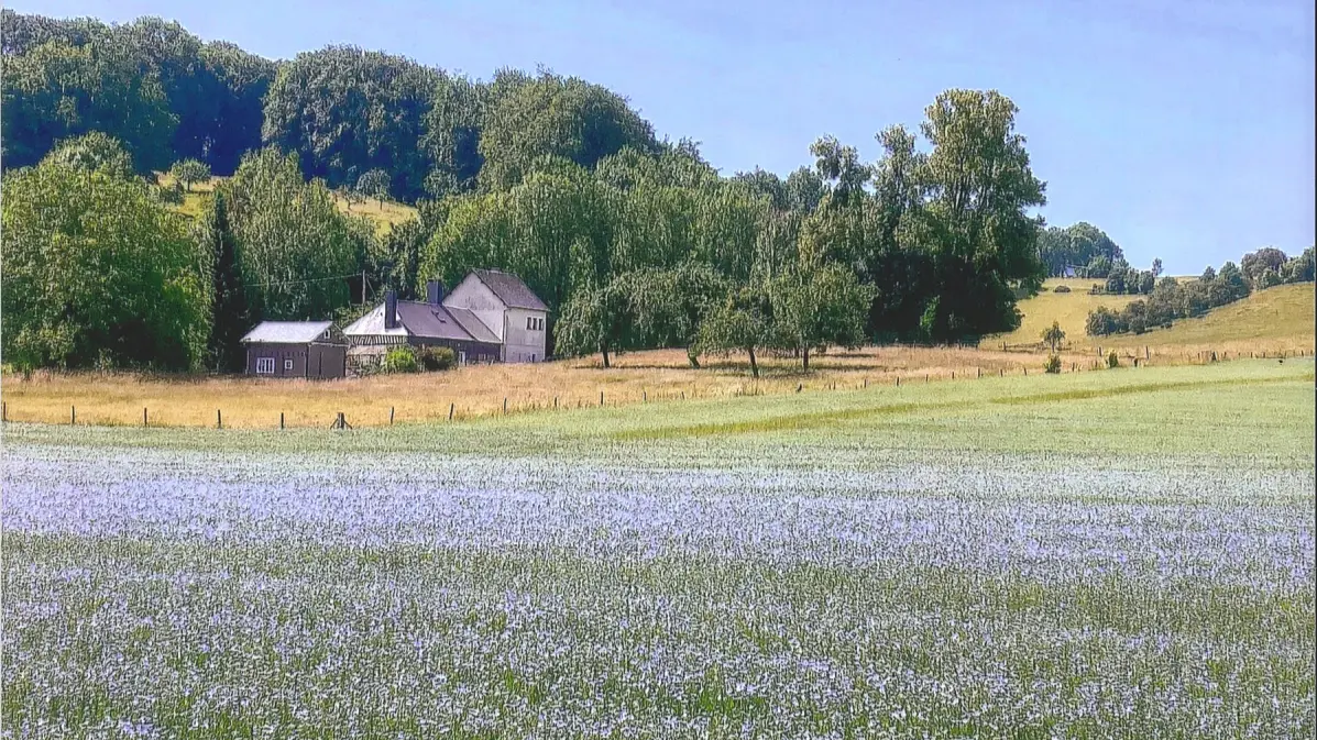 les-gites-de-la-prairie-saint-arnoult-le-colombage-exterieur-printemps