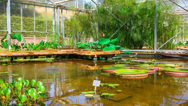 Serres des Jardins Suspendus