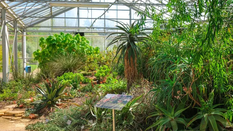 Serres des Jardins Suspendus