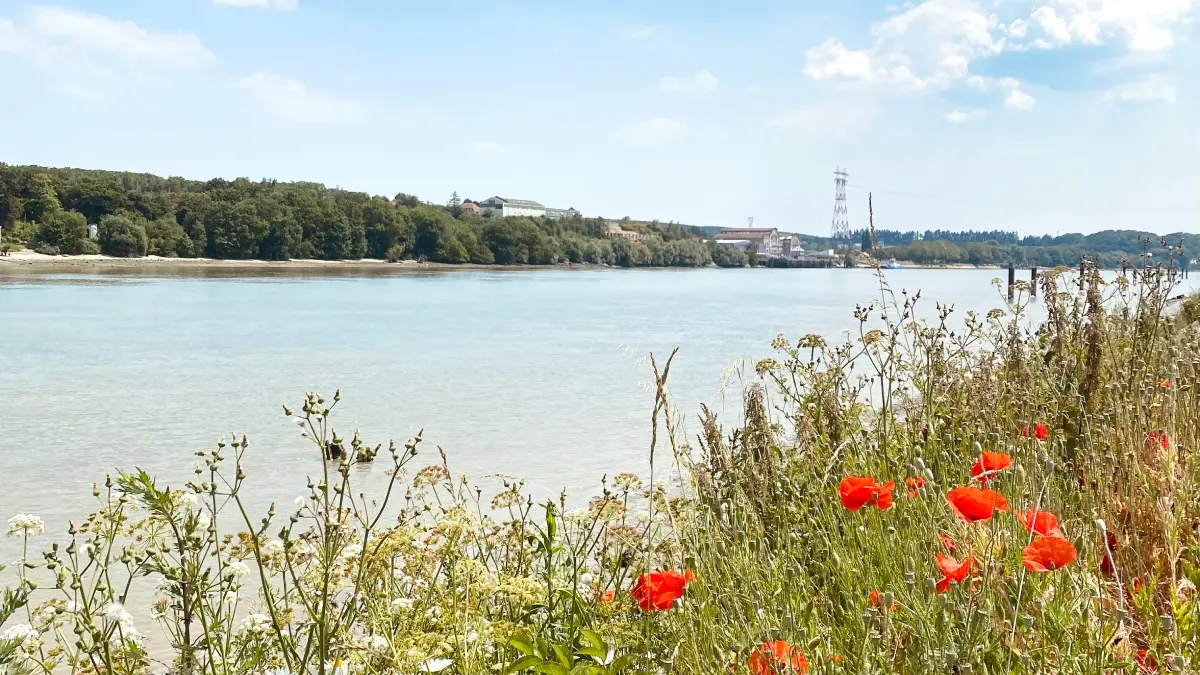 lo-gi-en-Seine-heurteauville-meuble-seine-cottey