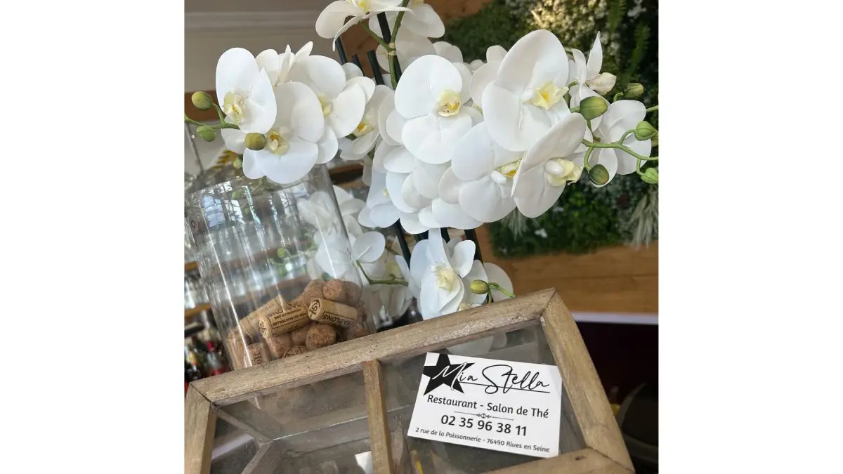 mia-stella-restaurant-caudebec-en-caux-rives-en-seine (1)