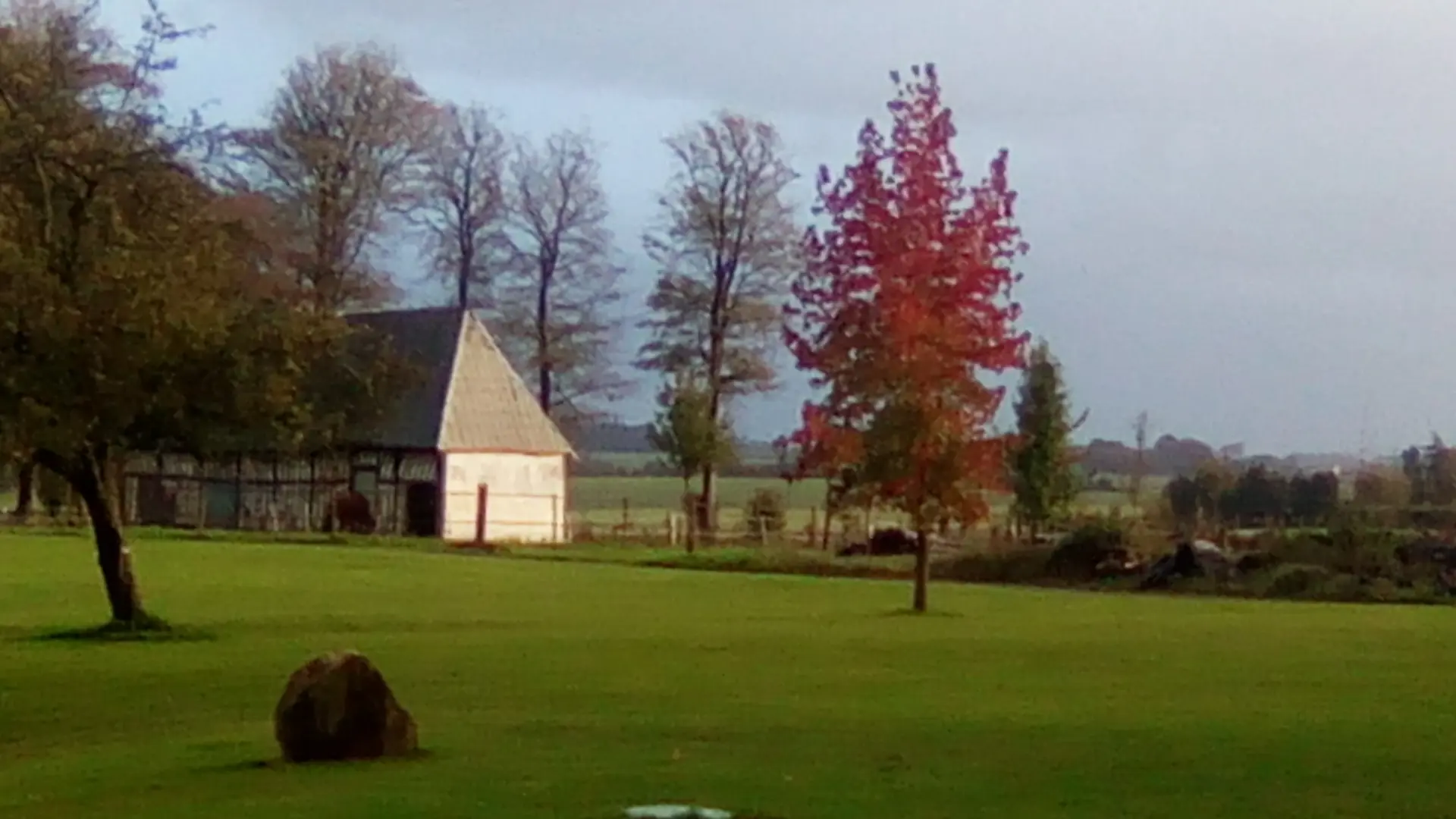vue sur le parc
