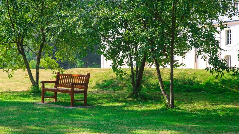 Parc de l'Abbaye du Valasse - 2020