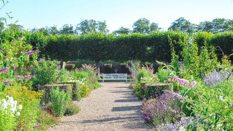 Parc du Château de Galleville - 2020