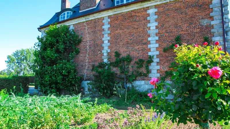 Parc du Château de Galleville - 2020