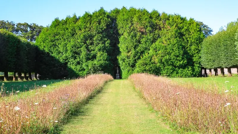 Parc du Château de Galleville - 2020
