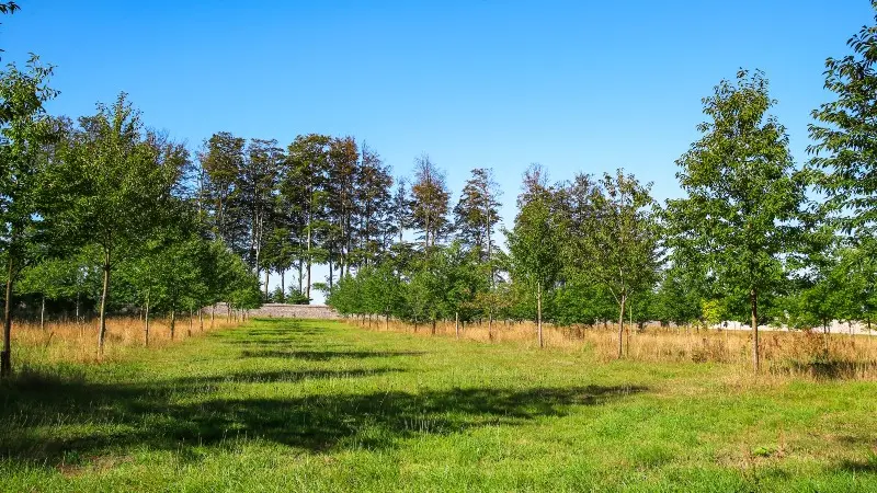 Parc du Château de Galleville - 2020