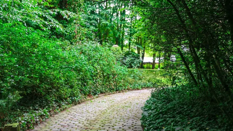 Parc du Château Saint Jean - La Chapelle-sur-Dun