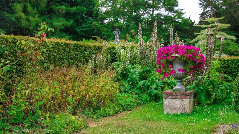 Parc du Château Saint Jean - La Chapelle-sur-Dun