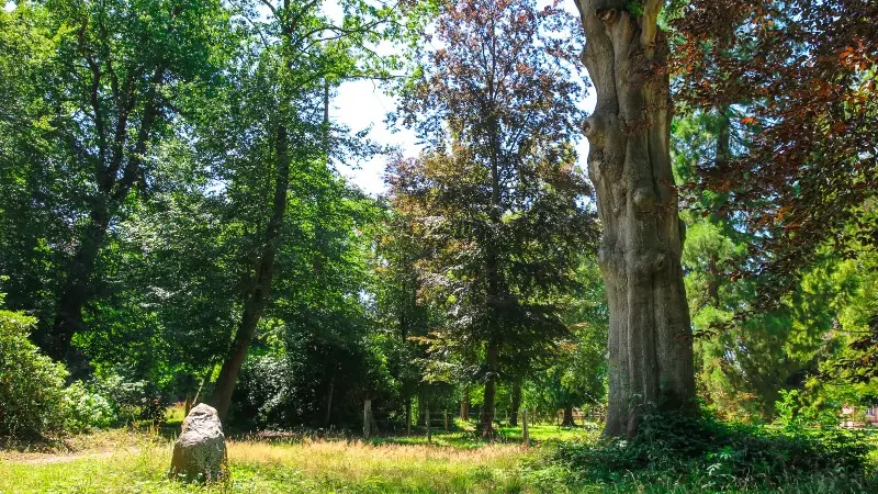 Parc du Château d'Hugleville