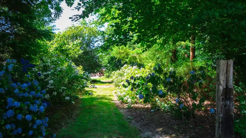 Parc du Château d'Hugleville