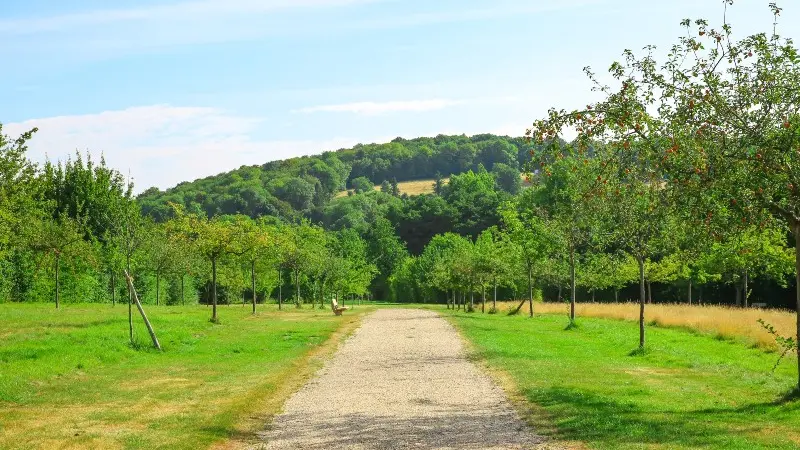 Parc de la Vallée du Telhuet - 2020