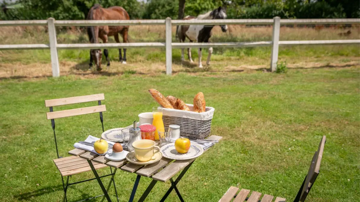 philippon-le-manoir-de-la-campagne-yebleron-petit-dejeuner-chevaux