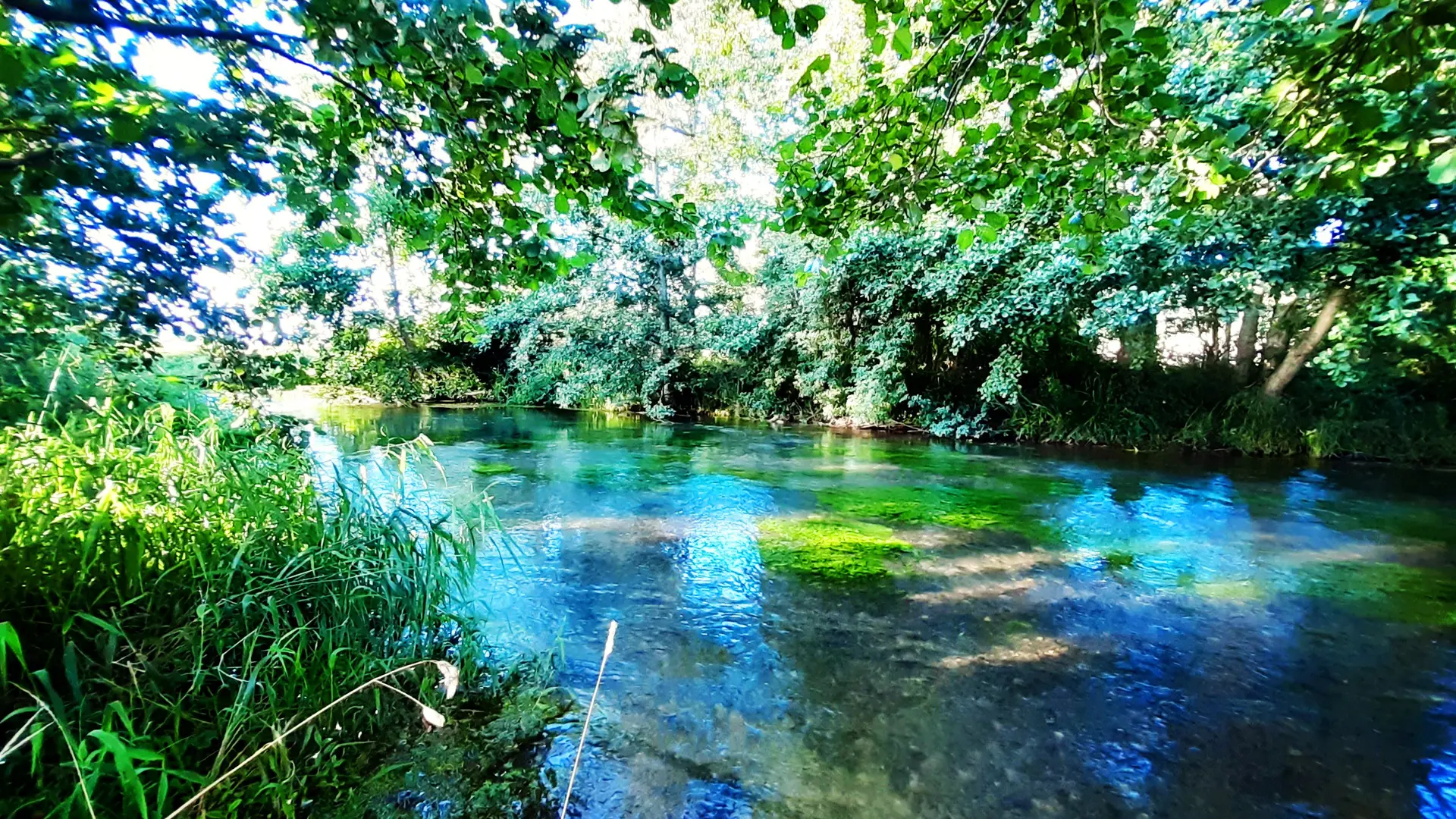 La Ferme du Pollet - vue sur La Varenne