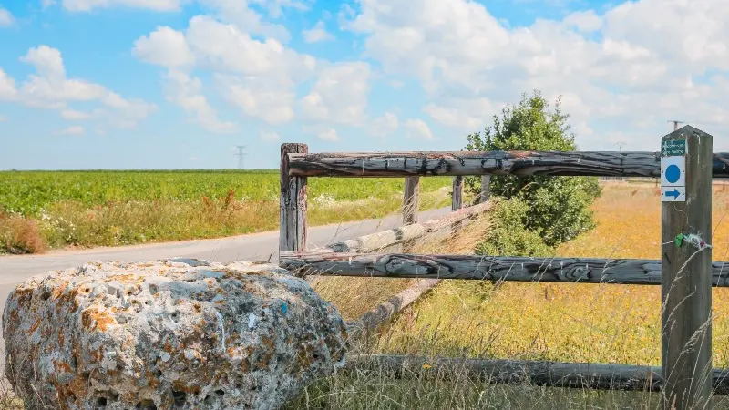 sur_les_traces_saint_martin-sma-M HAREL-800x600 (2)