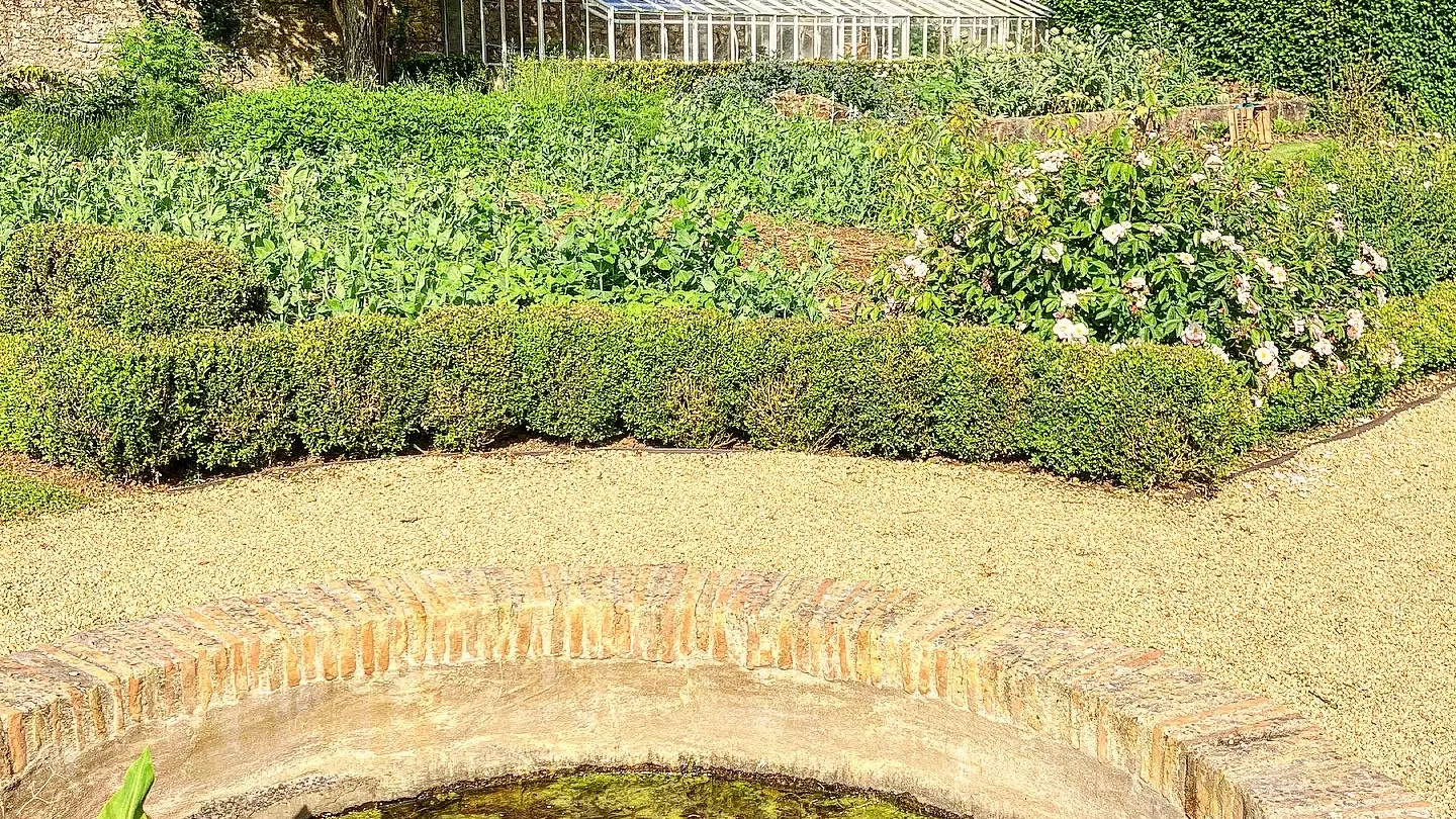 le potager