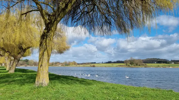 Aire CAMPING-CAR PARK de Mansigné2
