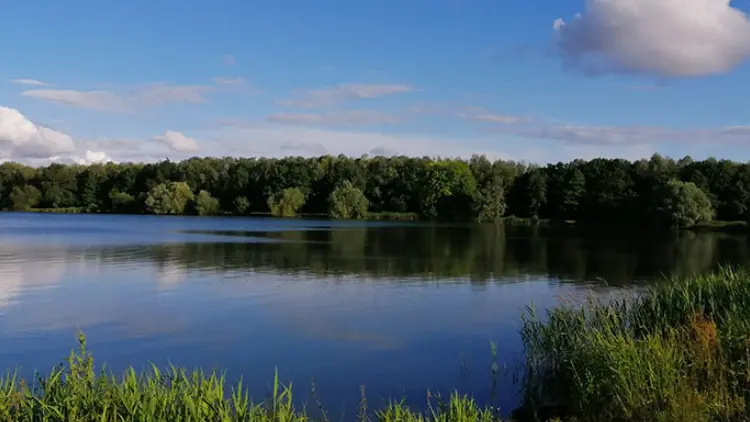Aire CAMPING-CAR PARK de la Flèche2
