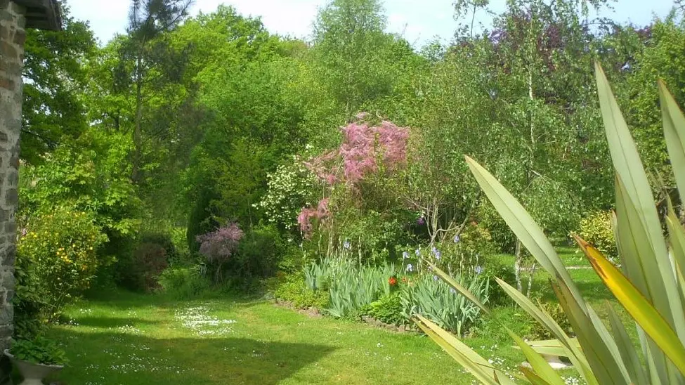 Très beau jardin d'ornement