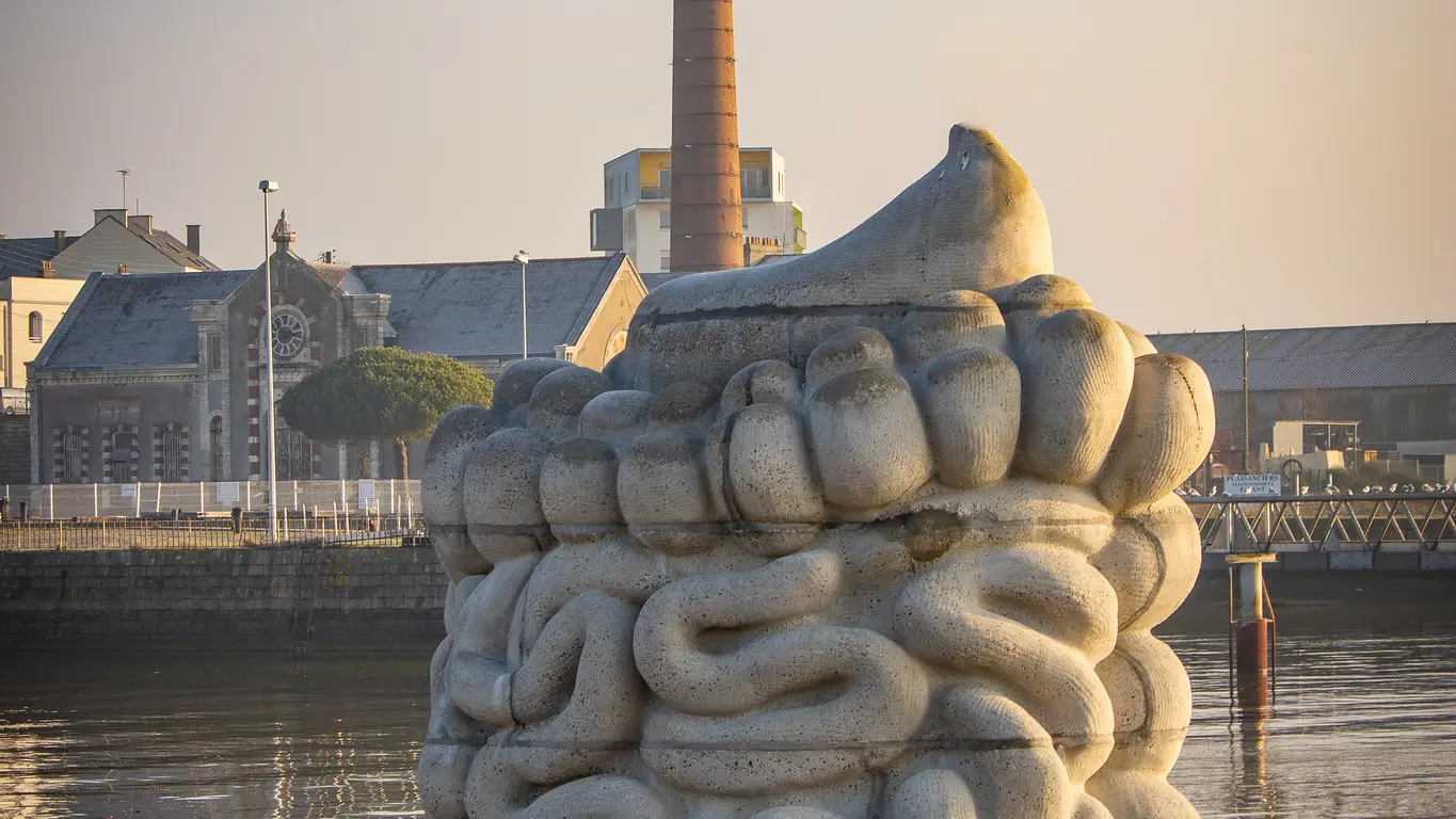 Le système digestif - Estuaire Nantes < > Saint-Nazaire