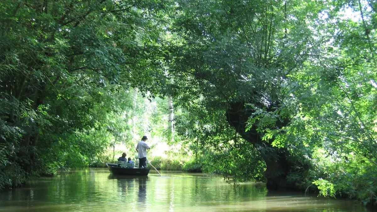 331937 - Marais Poitevin